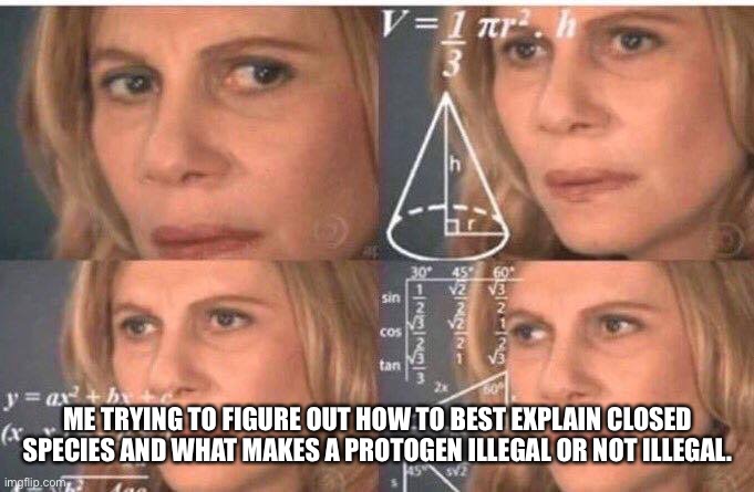 Or how paid to use bases work | ME TRYING TO FIGURE OUT HOW TO BEST EXPLAIN CLOSED SPECIES AND WHAT MAKES A PROTOGEN ILLEGAL OR NOT ILLEGAL. | image tagged in math lady/confused lady | made w/ Imgflip meme maker