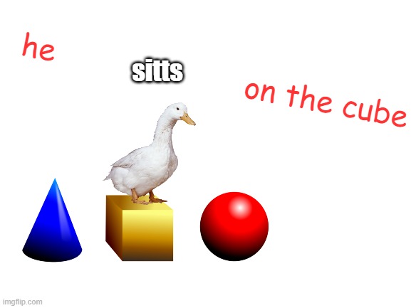 Blank White Template | sitts; he                     on the cube | image tagged in blank white template | made w/ Imgflip meme maker