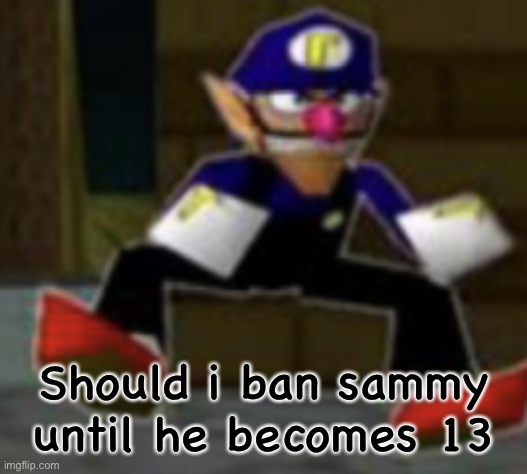 wah male | Should i ban sammy until he becomes 13 | image tagged in wah male | made w/ Imgflip meme maker
