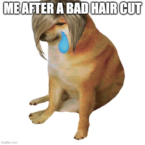 cheems | ME AFTER A BAD HAIR CUT | image tagged in cheems | made w/ Imgflip meme maker