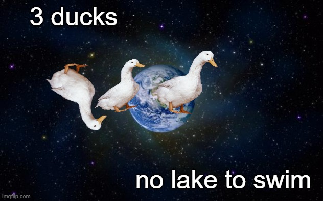 planet earth from space | 3 ducks; no lake to swim | image tagged in planet earth from space | made w/ Imgflip meme maker