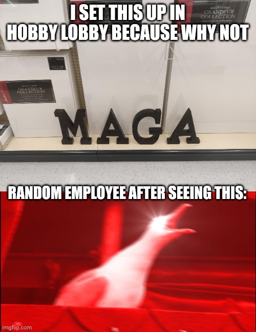 I SET THIS UP IN HOBBY LOBBY BECAUSE WHY NOT; RANDOM EMPLOYEE AFTER SEEING THIS: | image tagged in memes,inhaling seagull,trump 2020,maga | made w/ Imgflip meme maker
