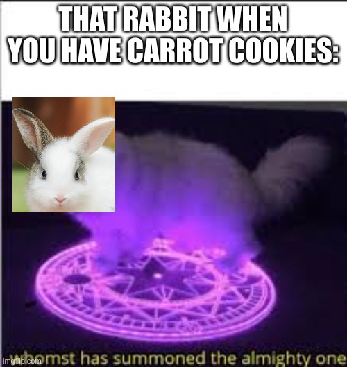 Whomst has Summoned the almighty one | THAT RABBIT WHEN YOU HAVE CARROT COOKIES: | image tagged in whomst has summoned the almighty one | made w/ Imgflip meme maker