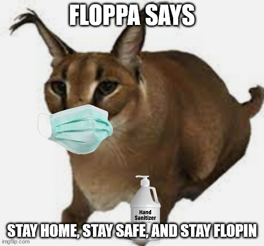 covid floppa. stay safe | FLOPPA SAYS; STAY HOME, STAY SAFE, AND STAY FLOPIN | image tagged in fun | made w/ Imgflip meme maker