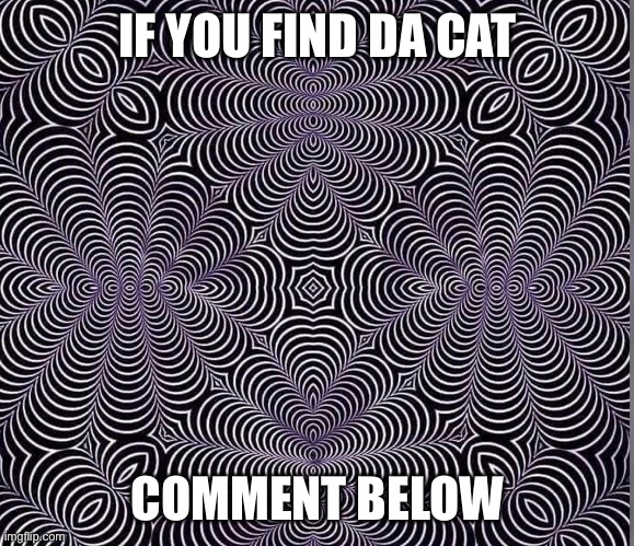 Find da cat | IF YOU FIND DA CAT; COMMENT BELOW | image tagged in cat,cats | made w/ Imgflip meme maker