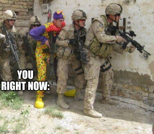 Army clown | YOU RIGHT NOW: | image tagged in army clown | made w/ Imgflip meme maker