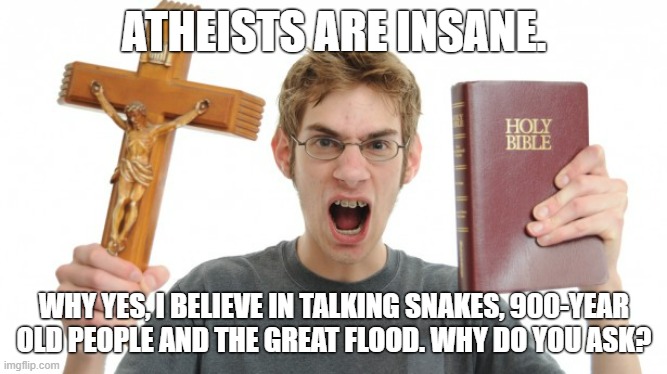 Those crazy atheists | ATHEISTS ARE INSANE. WHY YES, I BELIEVE IN TALKING SNAKES, 900-YEAR OLD PEOPLE AND THE GREAT FLOOD. WHY DO YOU ASK? | image tagged in angry christian,christianity,christians,atheism,atheist,religion | made w/ Imgflip meme maker