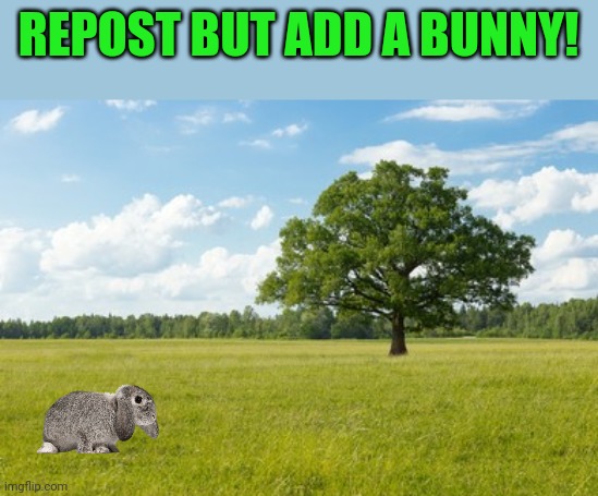 MINI LOP | REPOST BUT ADD A BUNNY! | image tagged in bunnies,bunny,rabbit,repost | made w/ Imgflip meme maker