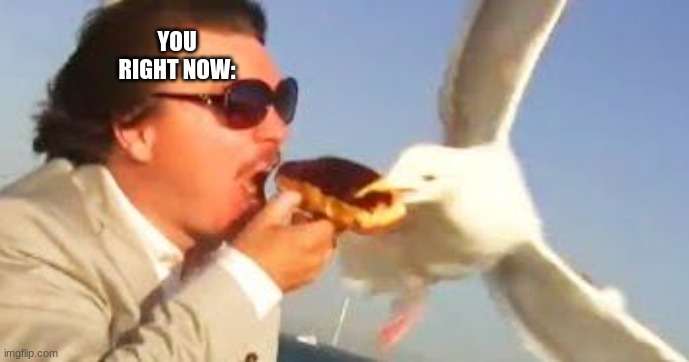 swiping seagull | YOU RIGHT NOW: | image tagged in swiping seagull | made w/ Imgflip meme maker