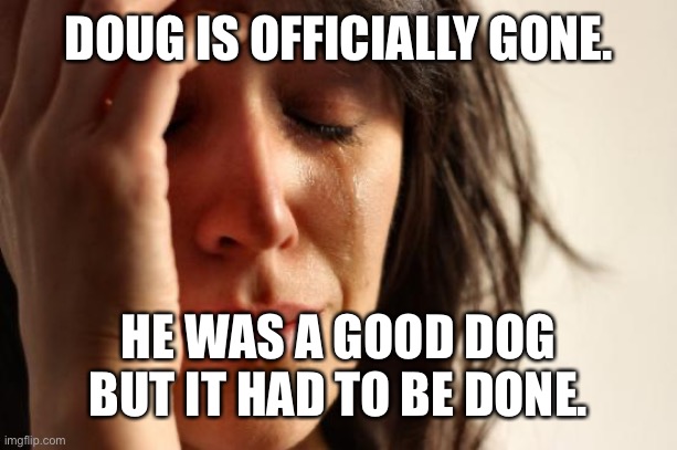 He’s not dead or anything, he just had to find a new home. | DOUG IS OFFICIALLY GONE. HE WAS A GOOD DOG BUT IT HAD TO BE DONE. | image tagged in memes,first world problems | made w/ Imgflip meme maker
