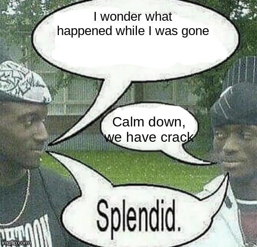 hello chat, this is splendid | I wonder what happened while I was gone; Calm down, we have crack | image tagged in we sell crack splendid,memes,shitpost,msmg,oh wow are you actually reading these tags | made w/ Imgflip meme maker