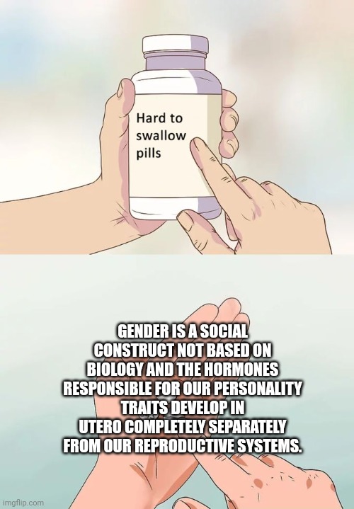 Hard To Swallow Pills Meme | GENDER IS A SOCIAL CONSTRUCT NOT BASED ON BIOLOGY AND THE HORMONES RESPONSIBLE FOR OUR PERSONALITY TRAITS DEVELOP IN UTERO COMPLETELY SEPARA | image tagged in memes,hard to swallow pills | made w/ Imgflip meme maker
