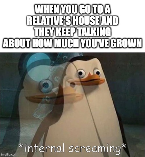 the pain | WHEN YOU GO TO A RELATIVE'S HOUSE AND THEY KEEP TALKING ABOUT HOW MUCH YOU'VE GROWN | image tagged in private internal screaming,memes,funny,funny memes,relatable,so true memes | made w/ Imgflip meme maker