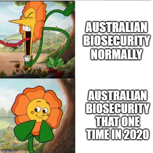 australian biosecurity is arguably the best in the world, EXCEPT THAT ONE TIME COVID GOT IN | AUSTRALIAN BIOSECURITY NORMALLY; AUSTRALIAN BIOSECURITY THAT ONE TIME IN 2020 | image tagged in yelling flower | made w/ Imgflip meme maker