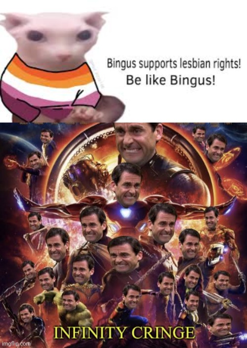 Don't Be Bingus! | image tagged in cringe,infinity cringe,bingus,memes,lesbian,lgbtq | made w/ Imgflip meme maker