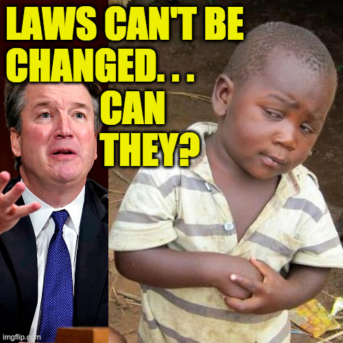 It's really our fault for giving him the idea. | LAWS CAN'T BE
CHANGED. . .
             CAN
             THEY? | image tagged in memes,third world skeptical kid,lying brett,scrotus | made w/ Imgflip meme maker