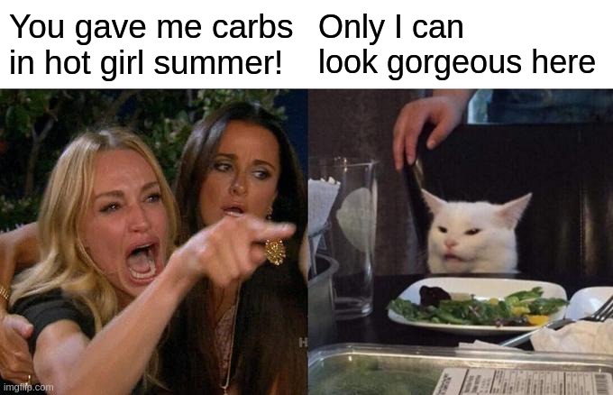 Woman Yelling At Cat | You gave me carbs in hot girl summer! Only I can look gorgeous here | image tagged in memes,woman yelling at cat | made w/ Imgflip meme maker