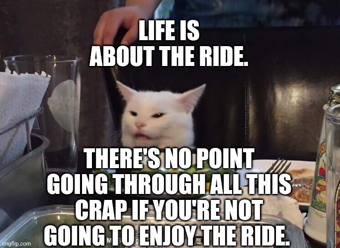 LIFE IS ABOUT THE RIDE. THERE'S NO POINT GOING THROUGH ALL THIS CRAP IF YOU'RE NOT GOING TO ENJOY THE RIDE. | image tagged in smudge the cat | made w/ Imgflip meme maker