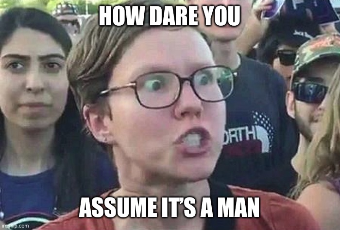 Triggered Liberal | HOW DARE YOU ASSUME IT’S A MAN | image tagged in triggered liberal | made w/ Imgflip meme maker