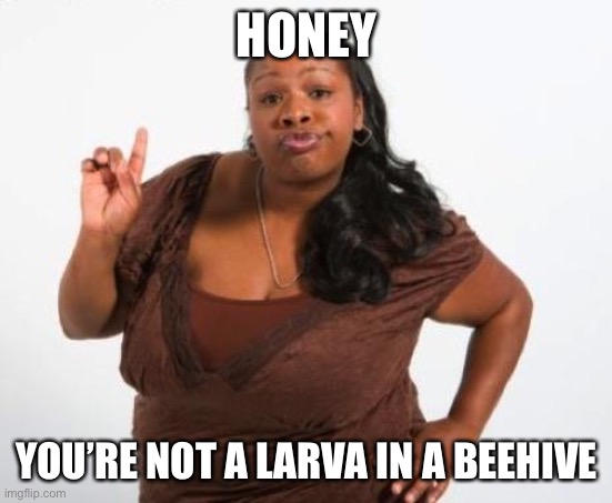 Sassy Black Lady | HONEY YOU’RE NOT A LARVA IN A BEEHIVE | image tagged in sassy black lady | made w/ Imgflip meme maker