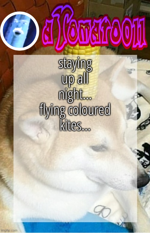 So lets get out of here... | staying up all night... flying coloured kites... | image tagged in atomato011's arbitrary announcement template | made w/ Imgflip meme maker