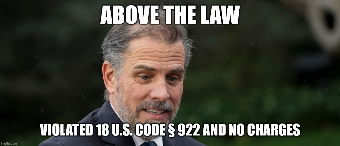 There is a double justice system in the US | ABOVE THE LAW; VIOLATED 18 U.S. CODE § 922 AND NO CHARGES | image tagged in hunter biden,criminal | made w/ Imgflip meme maker