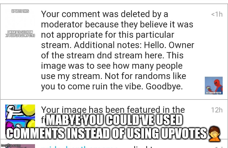 This is computerfreak btw | MABYE YOU COULD'VE USED COMMENTS INSTEAD OF USING UPVOTES🤦 | image tagged in idk | made w/ Imgflip meme maker