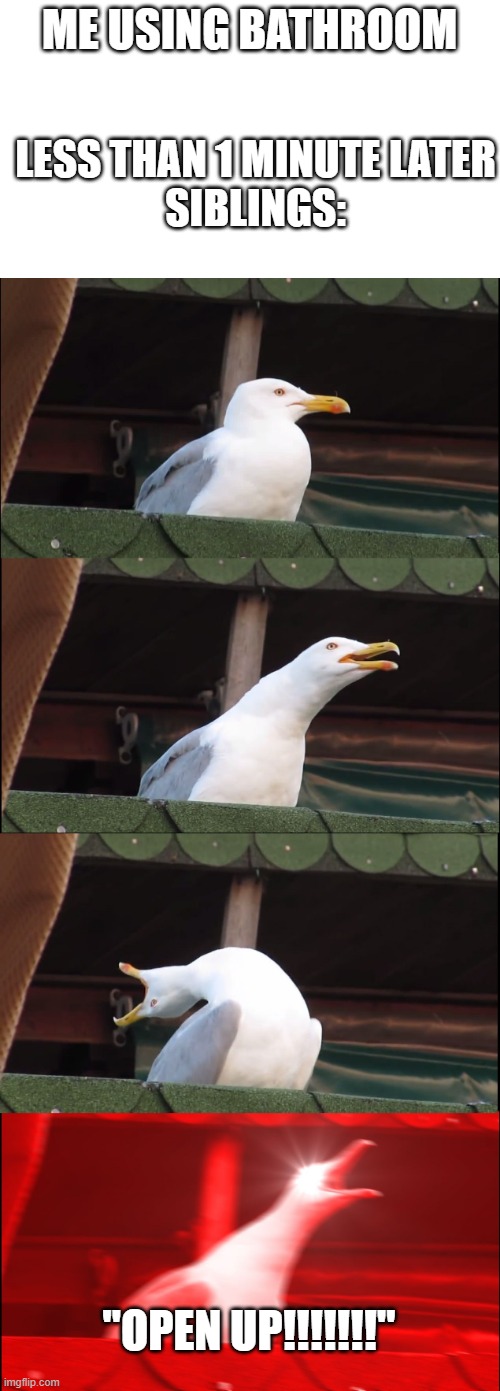 Inhaling Seagull Meme | ME USING BATHROOM; LESS THAN 1 MINUTE LATER
SIBLINGS:; "OPEN UP!!!!!!!" | image tagged in memes,inhaling seagull | made w/ Imgflip meme maker