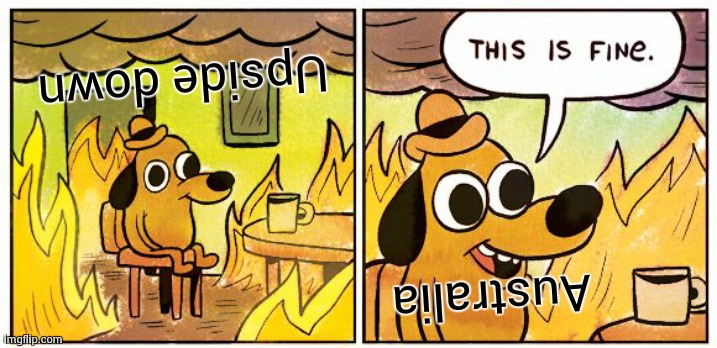 This Is Fine | Upside down; Australia | image tagged in memes,this is fine | made w/ Imgflip meme maker