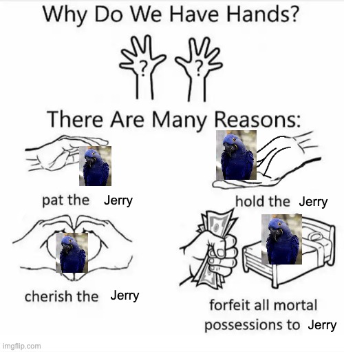 Why do we have hands? (all blank) | Jerry; Jerry; Jerry; Jerry | image tagged in why do we have hands all blank | made w/ Imgflip meme maker
