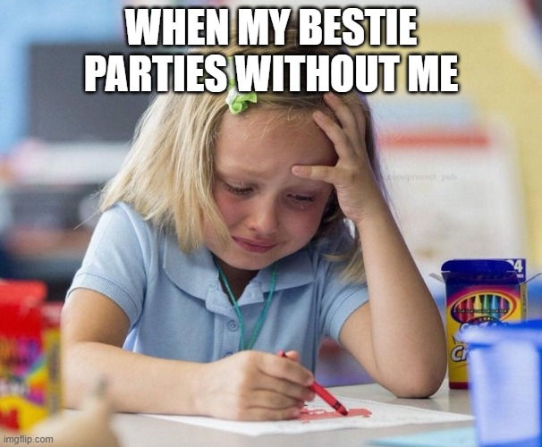 Crying Girl drawing | WHEN MY BESTIE PARTIES WITHOUT ME | image tagged in crying girl drawing | made w/ Imgflip meme maker