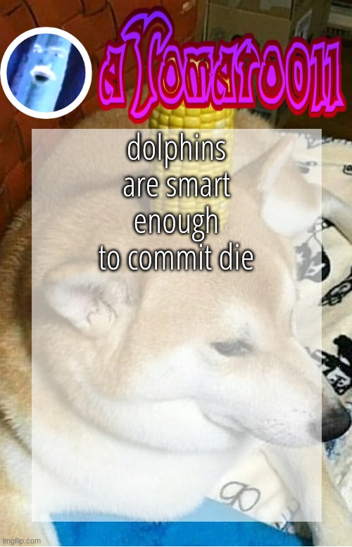 aTomato011's Arbitrary Announcement Template | dolphins are smart enough to commit die | image tagged in atomato011's arbitrary announcement template | made w/ Imgflip meme maker