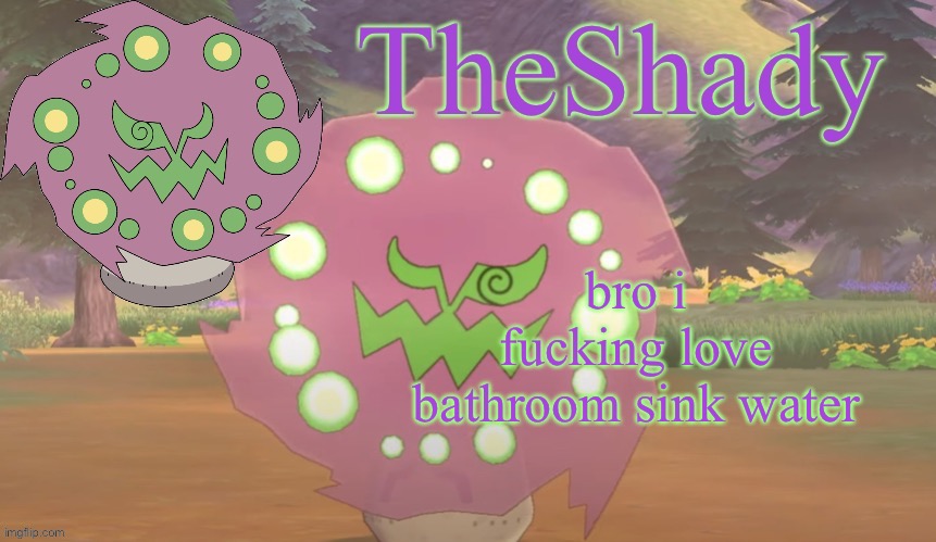 The toothpaste and rust flavor makes it rather enjoyable | bro i fucking love bathroom sink water | image tagged in theshady spiritomb temp | made w/ Imgflip meme maker