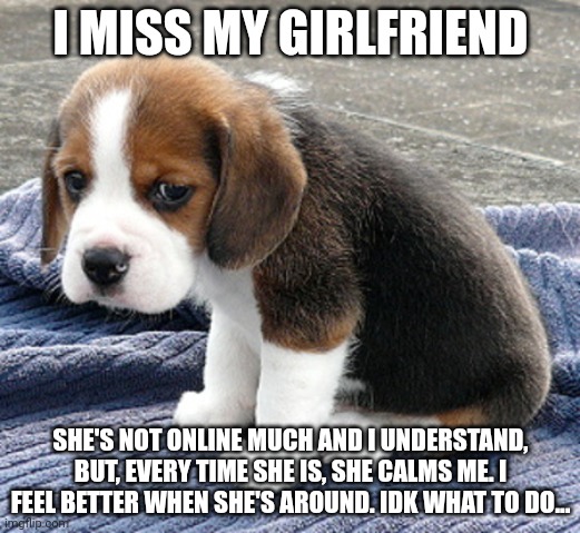 Help | I MISS MY GIRLFRIEND; SHE'S NOT ONLINE MUCH AND I UNDERSTAND, BUT, EVERY TIME SHE IS, SHE CALMS ME. I FEEL BETTER WHEN SHE'S AROUND. IDK WHAT TO DO... | image tagged in sad dog | made w/ Imgflip meme maker