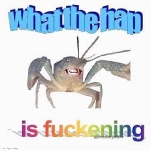What the fuck is happening | image tagged in what the fuck is happening | made w/ Imgflip meme maker