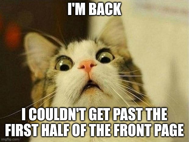 Scared Cat Meme | I'M BACK; I COULDN'T GET PAST THE FIRST HALF OF THE FRONT PAGE | image tagged in memes,scared cat | made w/ Imgflip meme maker