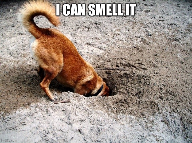 Archeology Dog | I CAN SMELL IT | image tagged in archeology dog | made w/ Imgflip meme maker