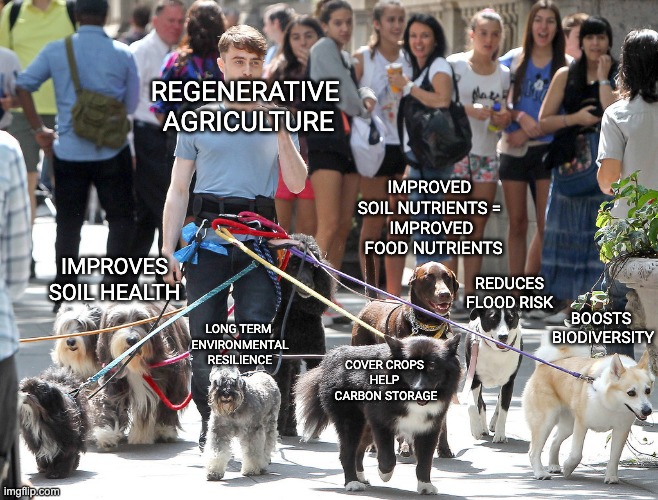 Regenerative agriculture | REGENERATIVE 
AGRICULTURE; IMPROVED 
SOIL NUTRIENTS = 
IMPROVED
 FOOD NUTRIENTS; IMPROVES SOIL HEALTH; REDUCES FLOOD RISK; BOOSTS 
BIODIVERSITY; LONG TERM 
ENVIRONMENTAL RESILIENCE; COVER CROPS 
HELP 
CARBON STORAGE | image tagged in daniel dog | made w/ Imgflip meme maker