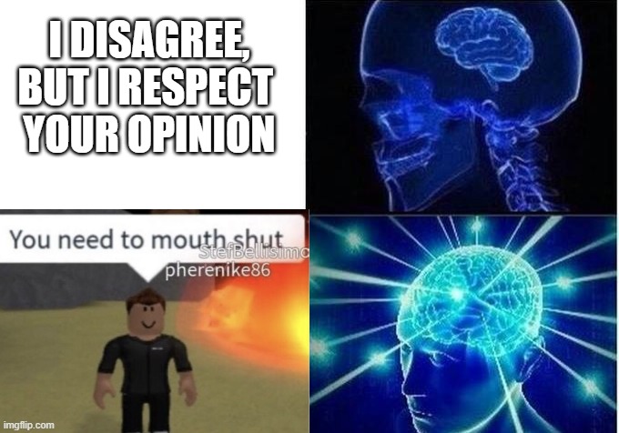 another meme | I DISAGREE, BUT I RESPECT 
YOUR OPINION | image tagged in change my mind | made w/ Imgflip meme maker