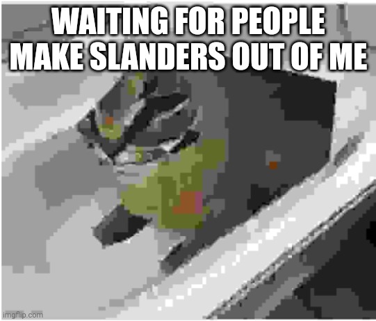 very very low quality floppa in a tub | WAITING FOR PEOPLE MAKE SLANDERS OUT OF ME | image tagged in very very low quality floppa in a tub | made w/ Imgflip meme maker
