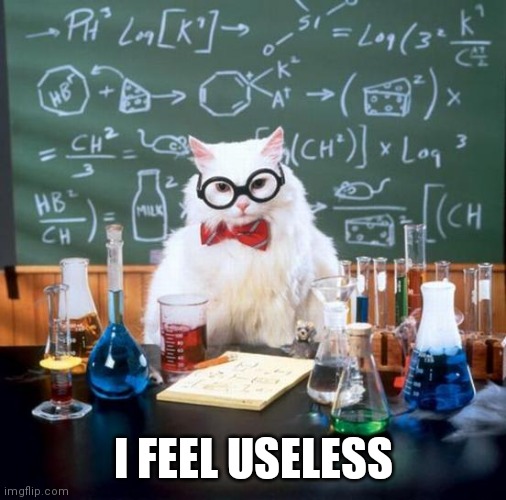 Chemistry Cat Meme | I FEEL USELESS | image tagged in memes,chemistry cat | made w/ Imgflip meme maker