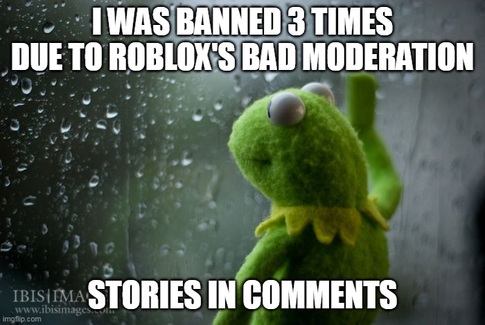 kermit window | I WAS BANNED 3 TIMES DUE TO ROBLOX'S BAD MODERATION; STORIES IN COMMENTS | image tagged in kermit window | made w/ Imgflip meme maker