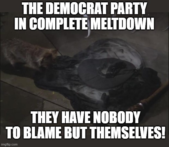 Democrats In Meltdown Stage | THE DEMOCRAT PARTY IN COMPLETE MELTDOWN; THEY HAVE NOBODY TO BLAME BUT THEMSELVES! | image tagged in memes,politics,political memes,democrats,so true memes,political humor | made w/ Imgflip meme maker