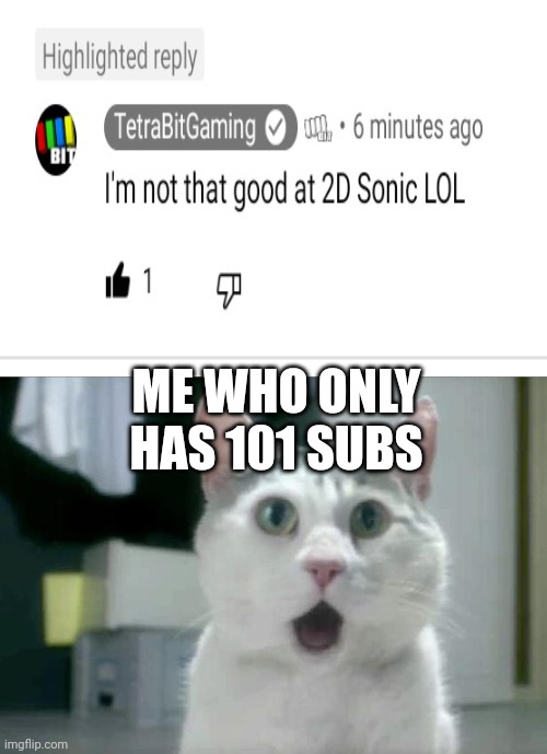 This actually happened to me (my yt channel is HarryDoesTech) | ME WHO ONLY HAS 101 SUBS | image tagged in memes,omg cat | made w/ Imgflip meme maker