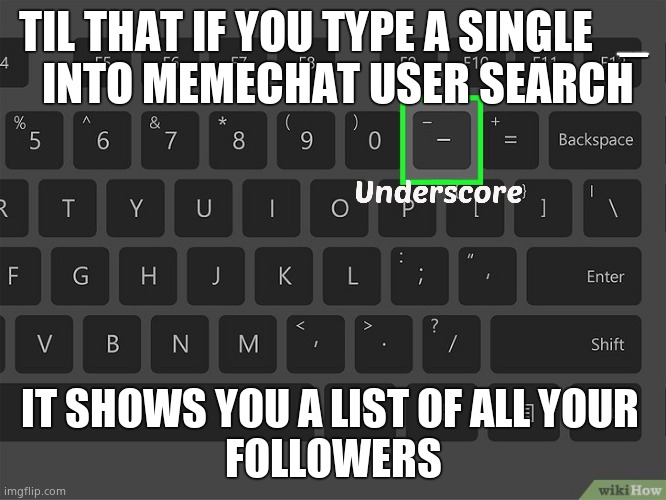 " _ "  Not sure if this works for all, but.... |  TIL THAT IF YOU TYPE A SINGLE   _
 INTO MEMECHAT USER SEARCH; IT SHOWS YOU A LIST OF ALL YOUR 
FOLLOWERS | image tagged in memes,imgflip,followers,list,underscore,today i learned | made w/ Imgflip meme maker