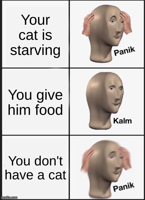 *panik intensifies | Your cat is starving; You give him food; You don't have a cat | image tagged in memes,panik kalm panik | made w/ Imgflip meme maker
