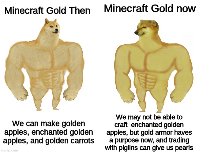 Gold was never usless | Minecraft Gold now; Minecraft Gold Then; We may not be able to craft  enchanted golden apples, but gold armor haves a purpose now, and trading with piglins can give us pearls; We can make golden apples, enchanted golden apples, and golden carrots | image tagged in buff doge vs buff cheems,memes,minecraft,oh wow are you actually reading these tags,gold | made w/ Imgflip meme maker