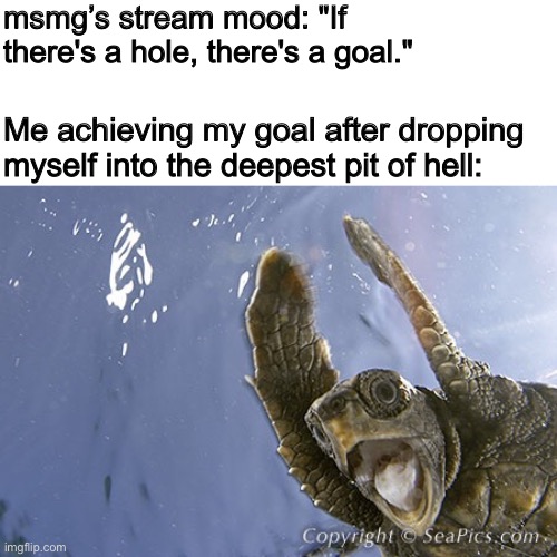 WooHoo turtle  | msmg’s stream mood: "If there's a hole, there's a goal."; Me achieving my goal after dropping myself into the deepest pit of hell: | image tagged in woohoo turtle | made w/ Imgflip meme maker