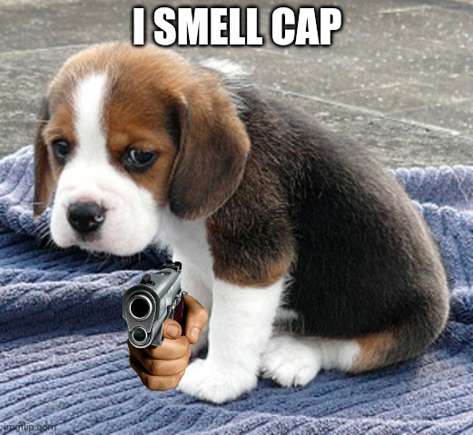 sad dog | I SMELL CAP | image tagged in sad dog | made w/ Imgflip meme maker