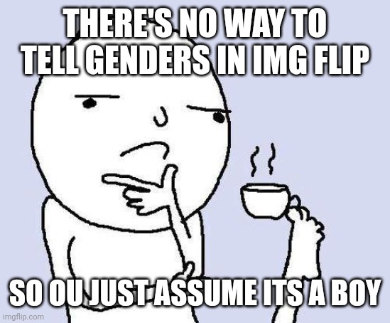thinking meme | THERE'S NO WAY TO TELL GENDERS IN IMG FLIP; SO OU JUST ASSUME ITS A BOY | image tagged in thinking meme | made w/ Imgflip meme maker